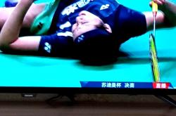 爱游戏tv-韩国羽毛球队血洗中国羽毛球队，马琳绝境逆转的简单介绍
