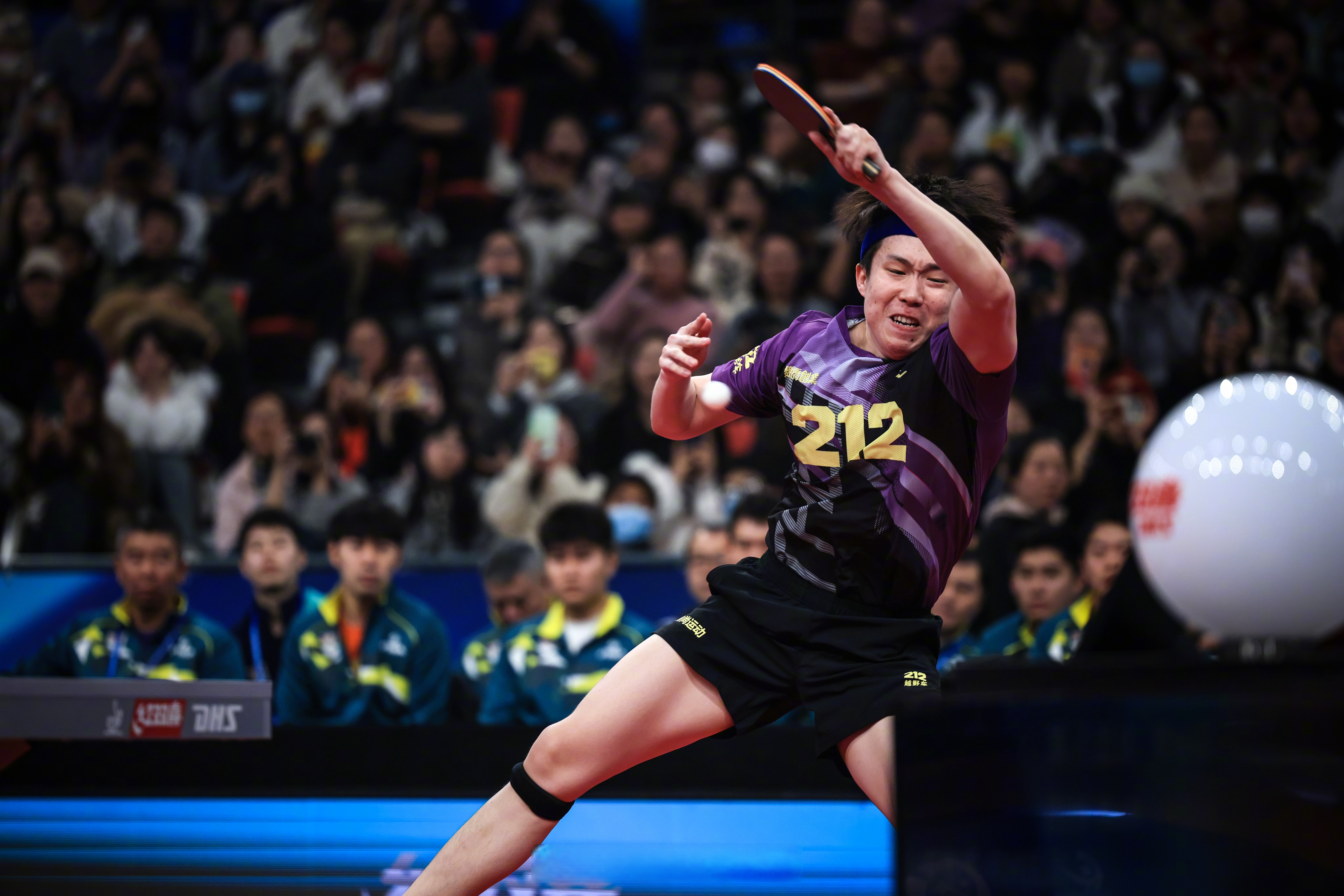 乒乓球比赛中国选手实力碾压