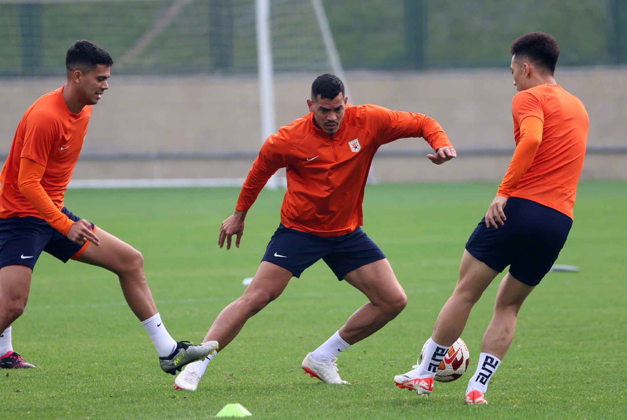 瑞典运动员锐不可挡，横扫对手的简单介绍