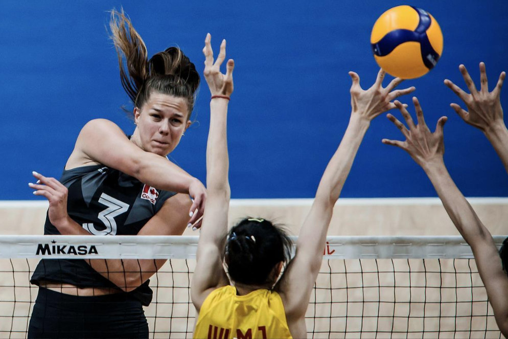 关于法国排球运动员精湛技艺,技压群雄的信息 关于法国排球运动员精湛技艺,技压群雄的信息