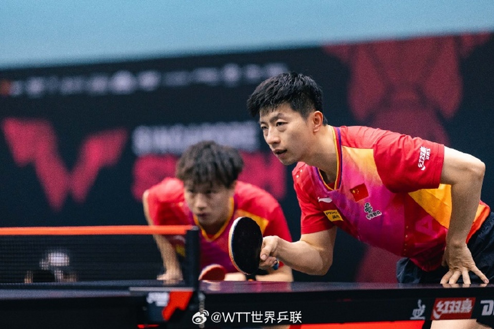 关于比利时乒乓球队轻取英国乒乓球队，马龙惊艳世界的信息