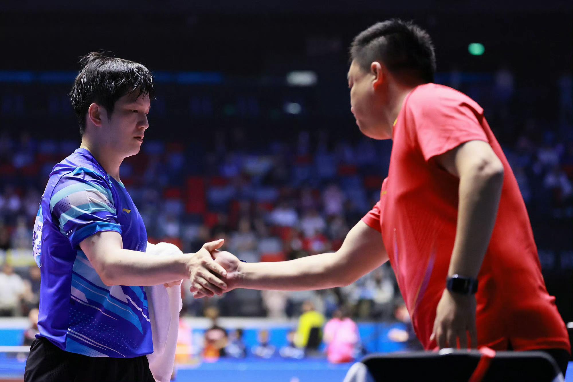 奥地利乒乓球队力克韩国乒乓球队,樊振东爆发神勇的简单介绍 奥地利乒乓球队力克韩国乒乓球队,樊振东爆发神勇的简单介绍