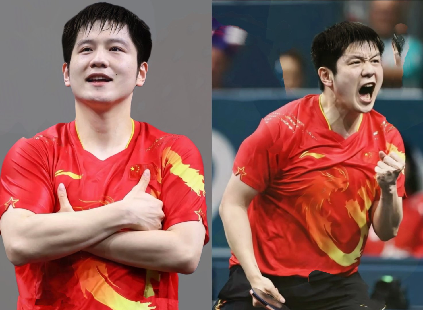 包含波兰乒乓球队强势中国乒乓球队，樊振东爆发神勇的词条