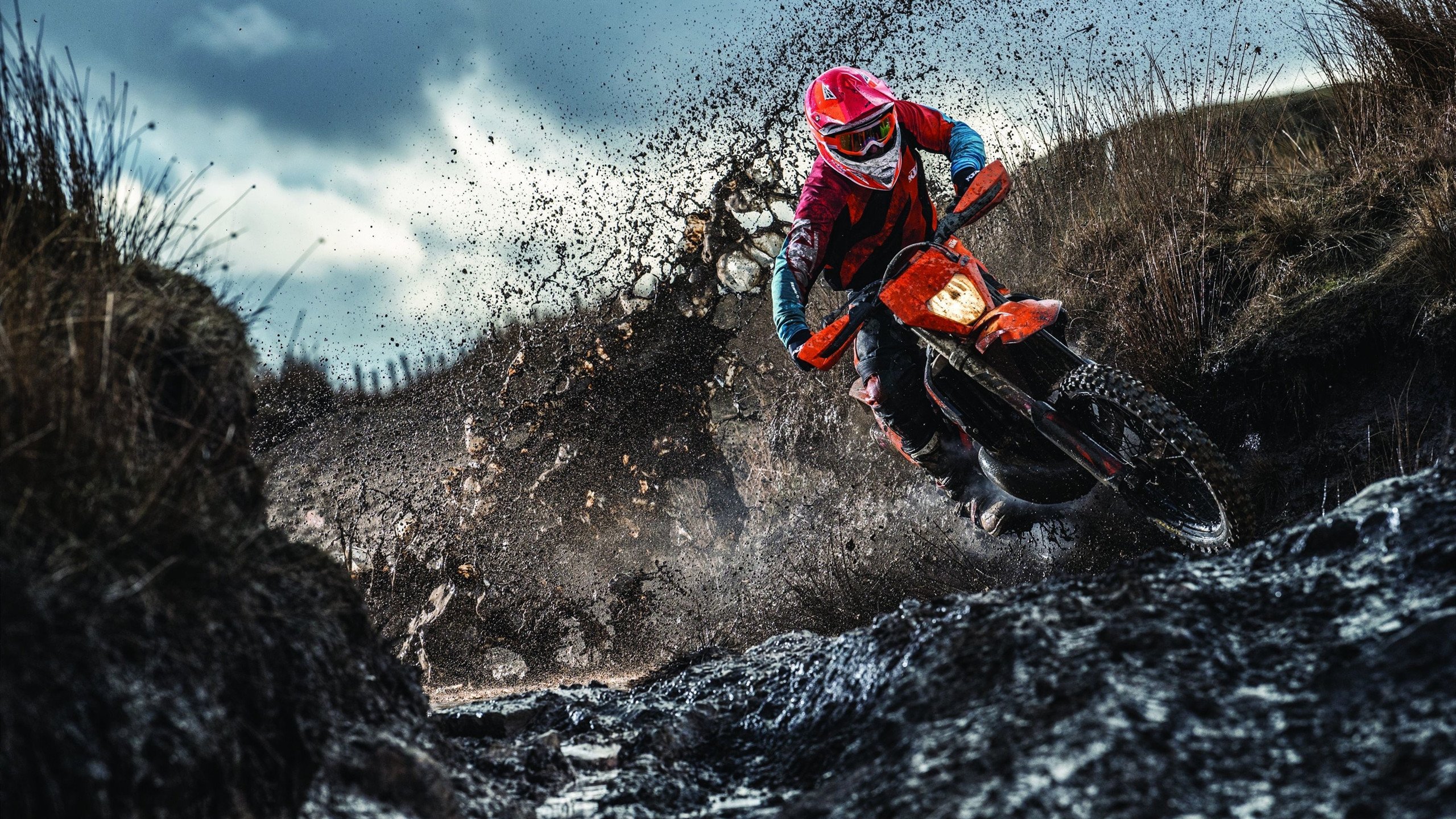 库尔图瓦的叹息之墙,一场教科书式表演如何让爱尔兰在塞维利亚的狂潮中幸存